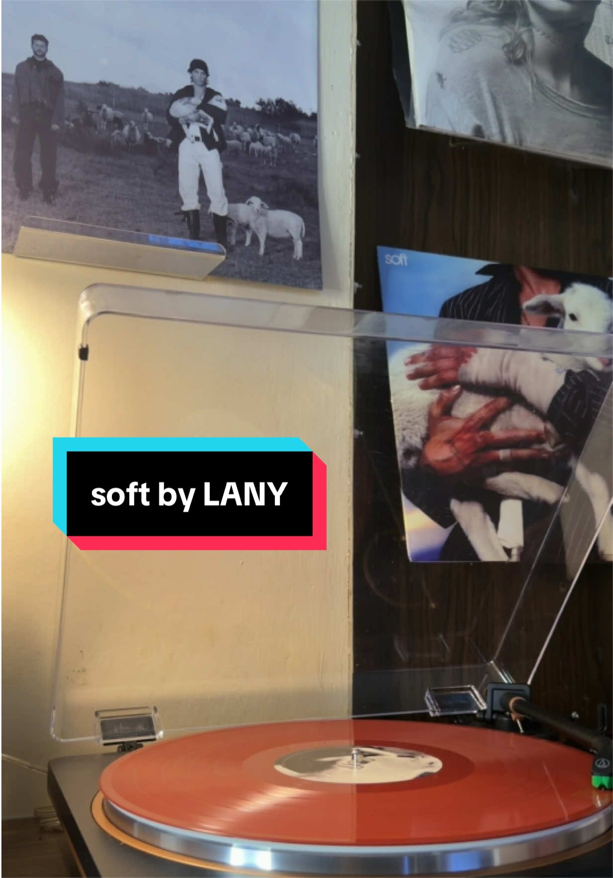 soft by LANY spin on vinyl 🐑. #soft #lany #lanyholic #vinyl @LANY 