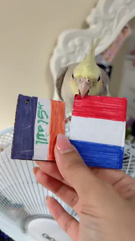 موكا اختار فرنسا صعبها علينا 🥹 منو أصدك هسه موكا لو ميكا 🤔