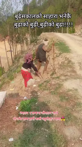 #ashishsaud #viral_tiktok_video #foryoutiktok #nonfollowersviewerseveryone 