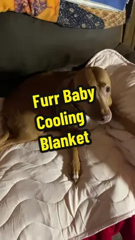 furrybaby Dog Cooling Mat for Large Dogs, 30