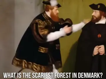 10 thousand Danes went missing in this forest😱 #gustavvasa #kristiantyrann #danmark #sverige #1523 @Swedishhistorianmax 