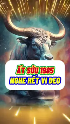 Trí tuệ sáng ngời.