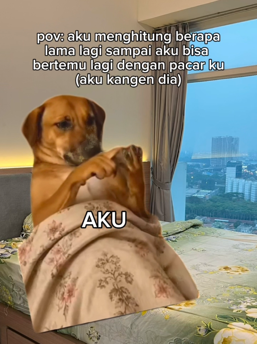 Kangen ih pas Chek in Bareng Kamu #lovyou #kangenkamu #berandafyp #sewaapartementreeparkcity #apartemenmurah 