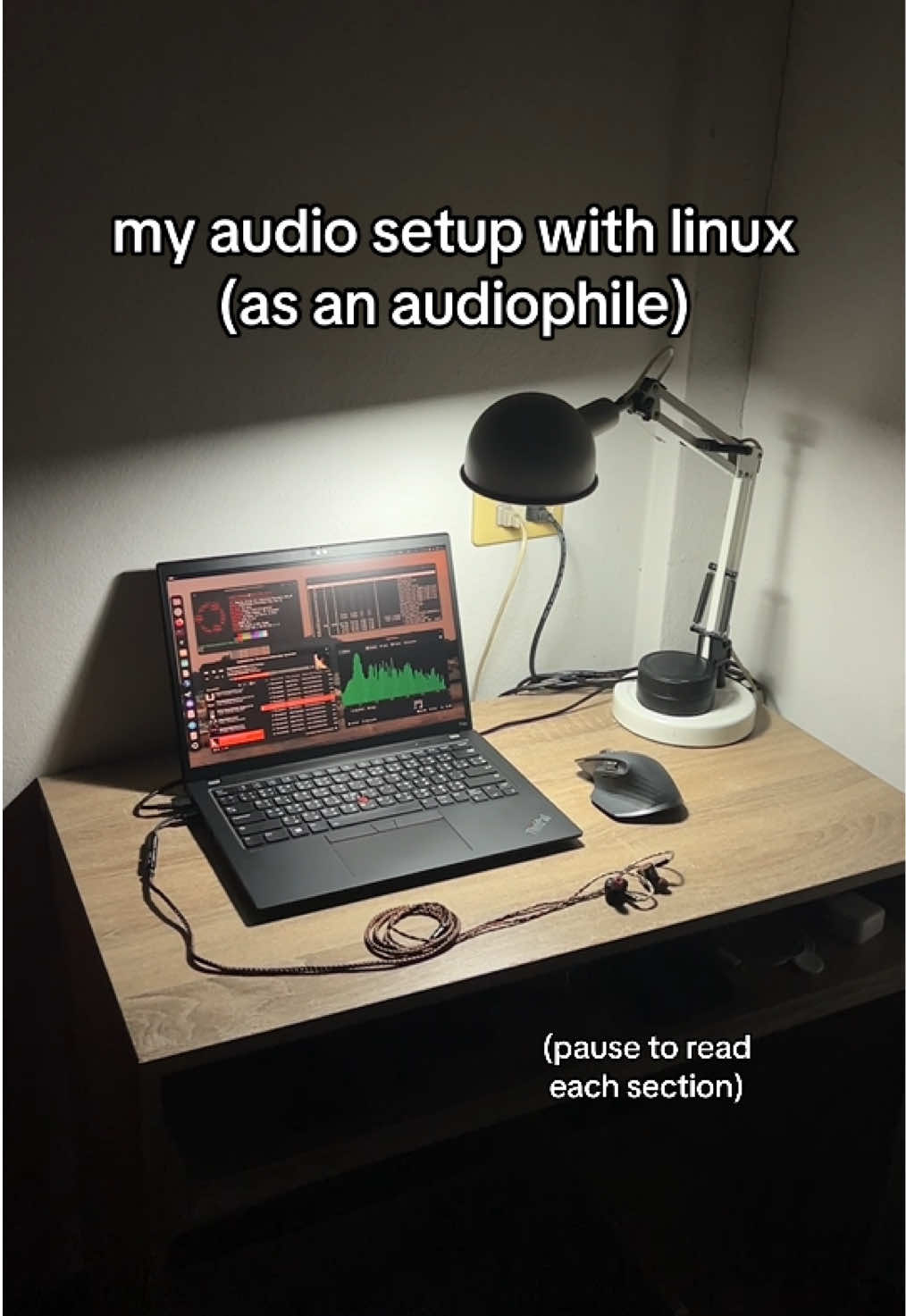 might do a deeper dive later but i want to share this so bad #techtok #audiophile #linux #thinkpad 