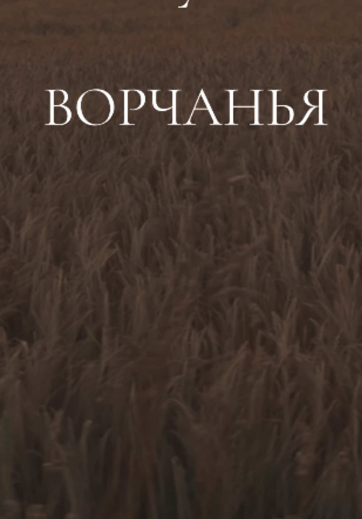 Утро 