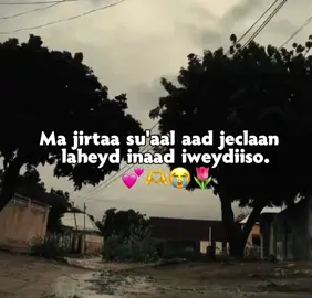 Love saar🥹💕👍🏻 #creatorsearchinsights #👍 #fyp #fouryoupage❤️สปีดสโลว์สโลว์สมูทjawi_bila🌊❤️🌴ilyricfouryoupage❤️สปีดส 
