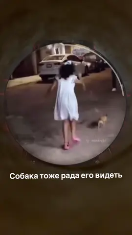 Как мило 🥹 #собака #карусель 