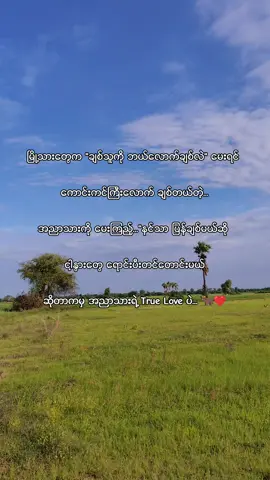 #ဆံတောက်လေးနဲ့လှတဲ့ပျိုလေးရိုးသားသူလေးရေ #fypシ゚ #fyp #အညာသားလေး #fyppppppppppppppppppppppp 