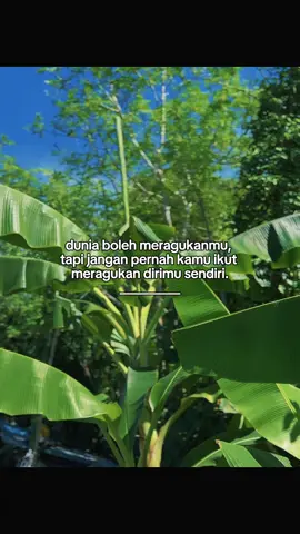 #katakata #fyp #foryou 