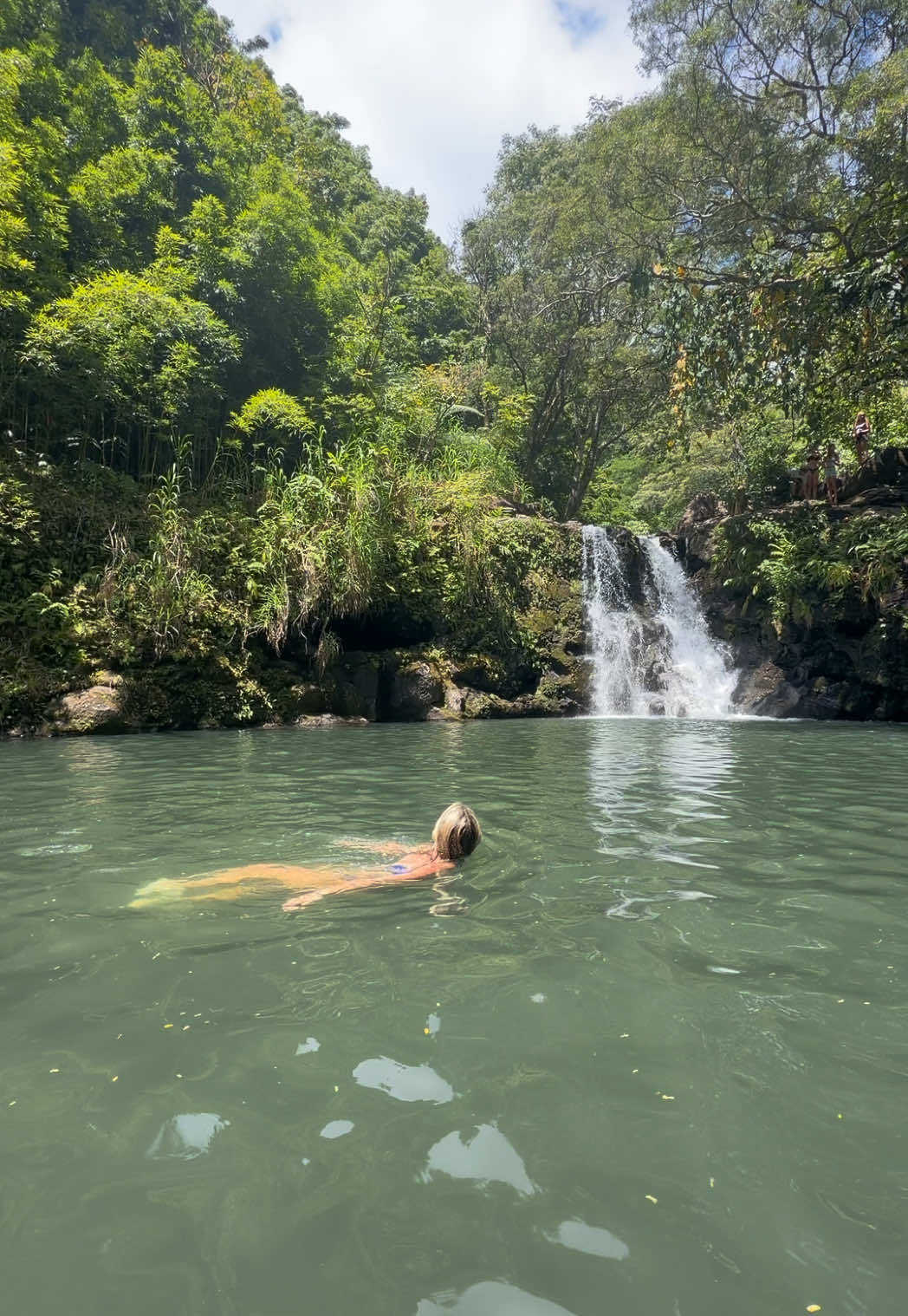 such a pretty waterfall on the road to Hana in Maui! 🌺🌺💛💛🌊🌅
