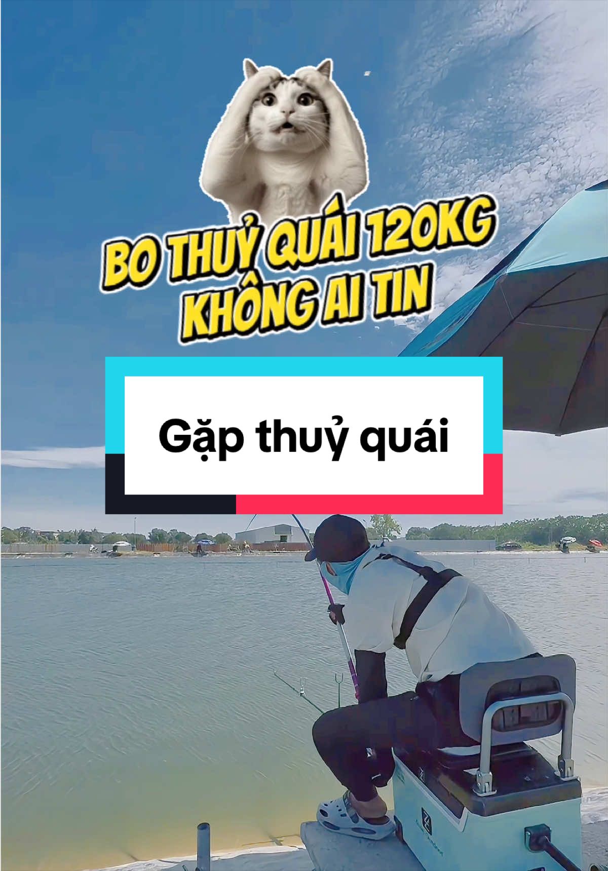 Đi câu gặp thuỷ quái 120kg về kể ko ai tin. Có video hẳn hoi nhé các a😂 #phuongfishing #phuongln #sanhang #caucatramden #cauca 
