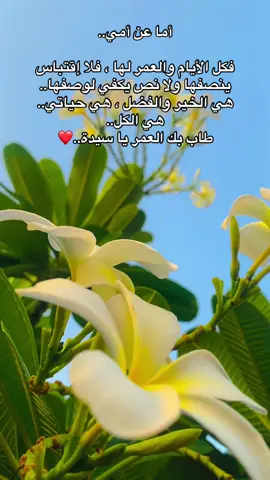 ربنا يحفظ جميع الأمهات ويرحم الأموات #fy 