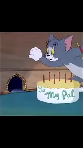 #catcartoon #tomandjerry #cartoonforkids #foryoupage #cartoon #creatorsearchinsights 
