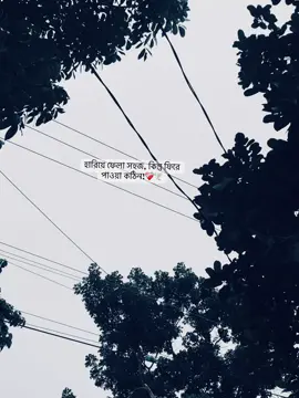 হারিয়ে ফেলা সহজ, কিন্তু ফিরে পাওয়া কঠিন!❤️‍🩹🕊️.                                   ,, ,, ,, ,, ,, ,, ,, ,, ,, ,, ,, ,, #foryou #caption #foryoupage #😅 