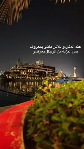 شعر#جابر_النشيرا #tiktok #fyp 