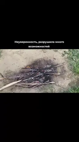 #рекомендации #fup #актив #длярепостов #альхамдулиллах 