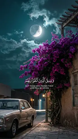 #سورة_الزمر #عبدالرحمن_الماجد  #quran_capcut_template  #قالب_كاب_كات_قران_كريم  #CapCut 