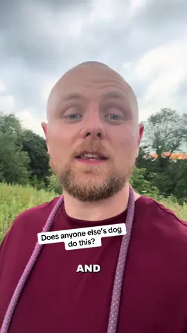 Does anyone else’s dog do this? 