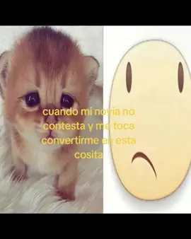 @ꫀׁsꩇׁׅ֪݊ꫀꭈɑׁᥣ (ari's version) UZHHHH ÑIÑIÑI siempre me contestas tarde mor💔 #wlwcople🏳️‍🌈 #lamejornovia #teamomol #amoaesmeralda #gambarekspresi 