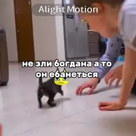 ебанулиси #чекушечка #светакефир #рекомендация #анкха 