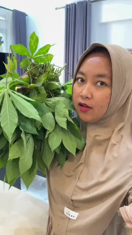 Soswit pakmil bawa buket daun singkong