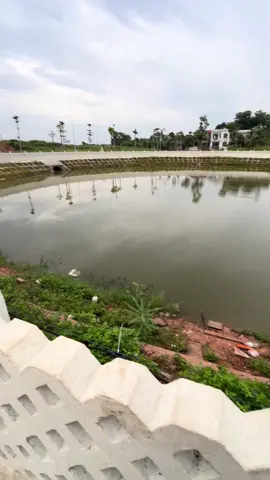 Điểm câu tự nhiên “ Hồ điều hoà An Huy “ thuộc khu đô thị An Huy xã tân yên - Bắc Ninh ! Toạ độ đây nhé các bác : (21.3815704, 106.1237230) #diemcautunhien #tanyenbacgiang #caulure #caucabacgiang #hodieuhoaanhuy