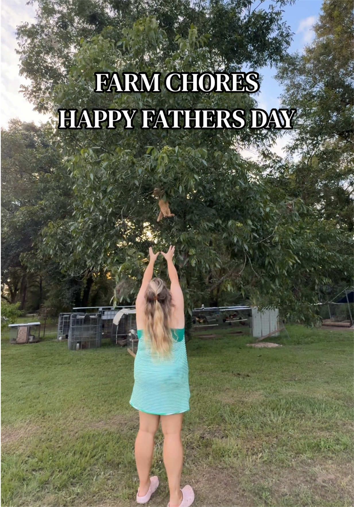 HAPPY FATHERS DAY!!!🌷🐓🐇 #gamefowlbreeder #chickens #farmchores #farmlife #chickensoftiktok 