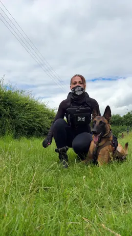 Don’t underestimate how different it is to do heelwork with your dog when you’re wearing a chest rig I had literally no idea 🤣🤣🤣 Also, what do we think of the ghost outfit guys? I think more of you are lean towards Lara Croft rather than ghost from call of duty. ?? 👻🥷🖤 Belgian Malinois  @nonstopdogwear @nonstopprofessional  Dog obedience  Dog training #malinois #dogtok #PetsOfTikTok #modernwarfare #callofduty 