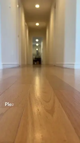 He doesn’t walk into the room… he makes an entrance 😎 #PetTok #CatTok #PetsOfTikTok #DripCheck #CoolPets