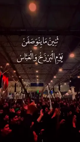 ثنينهن ماينوصفن يوم البرزخ والعباس 🏴#باسم_الكربلائي #ليله_العباس #كربلاء #بغداد #الشعب_الصيني_ماله_حل😂😂 