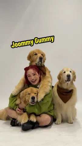 ถ่ายแบบ Joommy Gummy #joommygummy 