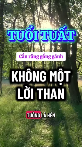 Tuổi tuất#tuoituat #12congiap #phongthuy #tuvi #xuhuong 