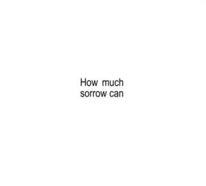 Mystery of love - Sufjan stevens #mysteryoflove #sufjanstevens #lyrics #song #fyp