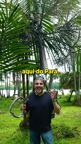 Eu virei um apanhador de açaí no Pará #renansantos #mbl 