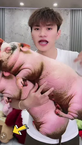 #xuhuonghuongtiktok #xuhuong #viral #thinhhanh #heoxinh 