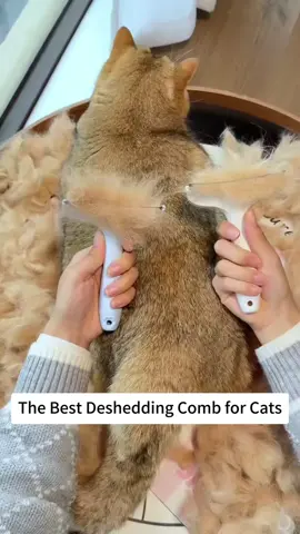 Cat de shedding comb. #CatLover #catmom #SummerPetCare #CatLovers #cattoys 