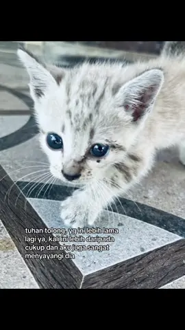 #katakata #raimlaode #sad #juarasantap #fyp