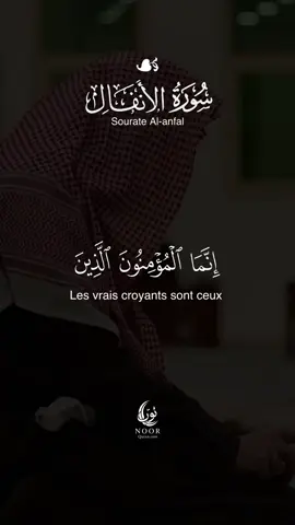 #قرآن #قرآن_كري#quranrecitation #tiktokviral #الحصري 🤍