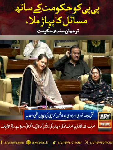 پی پی کو حکومت کے ساتھ مسائل کا پہاڑ ملا، ترجمان سندھ حکومت #ARYNews