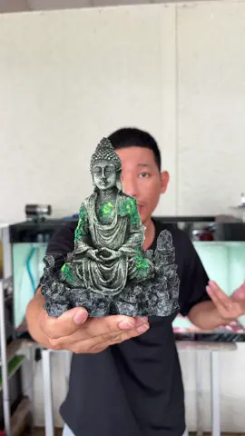 Tượng phật bám rêu xanh#tinhrom60 #thuysinh 