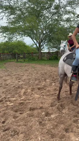 Calentando motores 🔥🔥🔥#caballos #viraltiktok