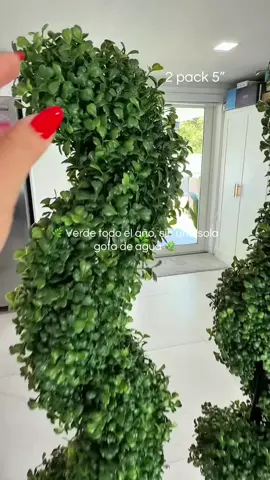 🌿 Verde todo el año, sin una sola gota de agua. Estas plantas artificiales le dan un toque elegante y acogedor a cualquier entrada, patio o porche sin necesidad de mantenimiento. Se ven increíbles en cualquier temporada y ayudan a crear ese look cuidado que todos queremos para nuestro hogar. #TikTokShopCreatorPicks #HomeDecor #OutdoorDecor #FrontPorchDecor #ArtificialPlants 