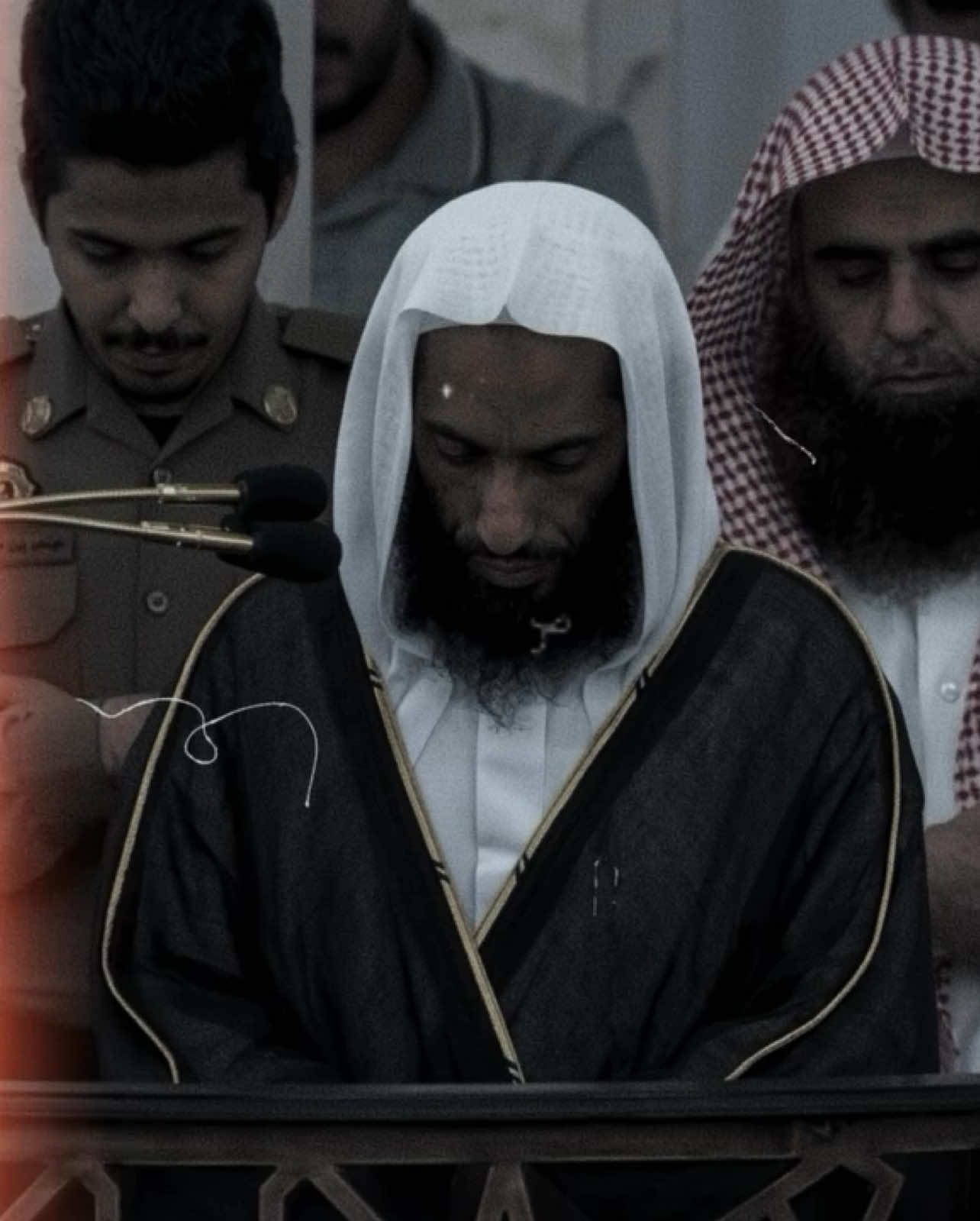 الشيخ أحمد بن طالب  . . . . . . . #creatorsearchinsights 