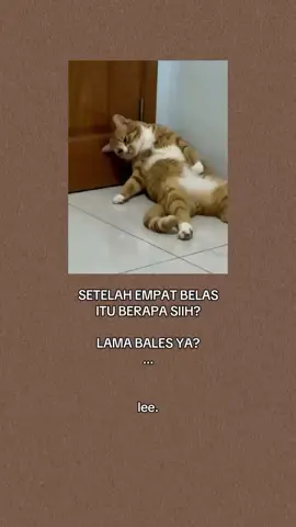 apa siih🤔?#indiasong #musikindia #kucinglucu 