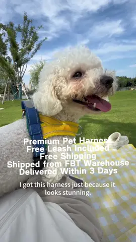 Just Slip and Buckle. So Convenient #DealsforYouDays#bulldog hitch#things for dogs#dog leash mom#dog harness