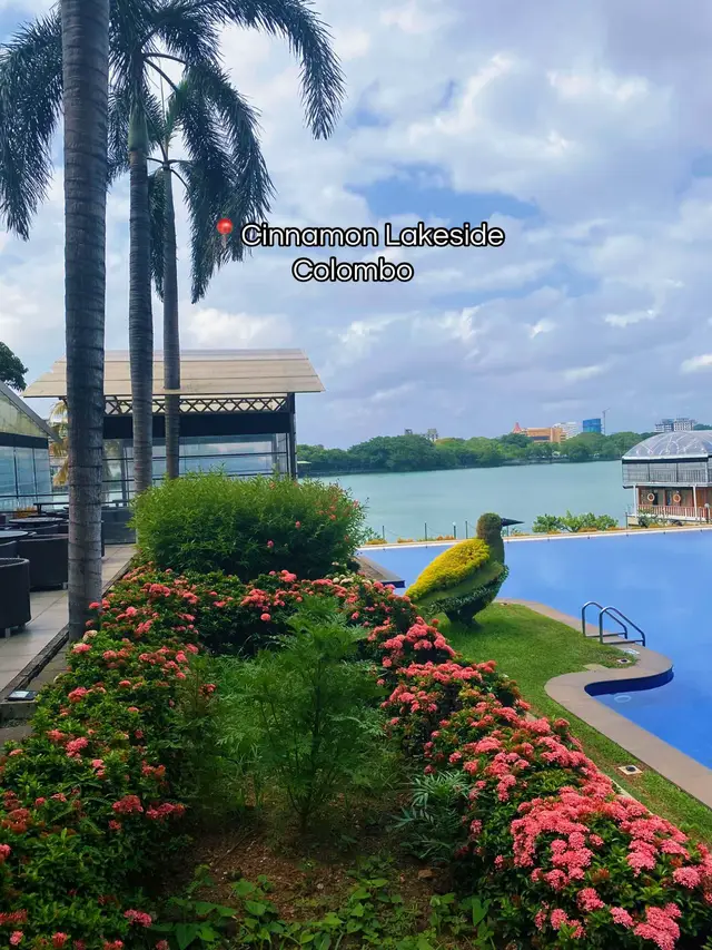 Cinnamon Lakeside Colombo is a premier 5-star resort hotel located along the banks of Beira Lake in Colombo. It’s known for its lake views, dining options, events, weddings, and staycation experiences.🩵🫧 #foryou #visitsrilanka #5starhotel #datespotsincolombo #viral 