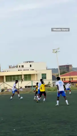 Xulka Shabelle oo soo taabtay shabaqa Daawa #koobkagobaladaDDS #viral #2026 #shuukegurey #somalitiktok 