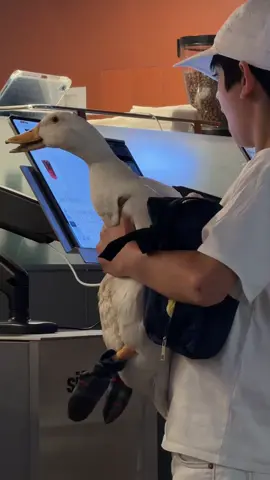 Мальчик с гусем в дринкит🤍