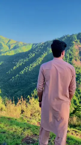 🌲Dono jahano se 💐#CapCut #deartiktokteamdontunderviewmyvideos #foryou #viral #swat 