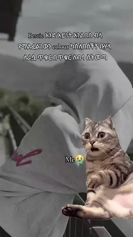 እንግዳውስ አፈር ብይ  ድሮስ አንቺን ማመን🙂😭 #fyp #bestie #capcut 